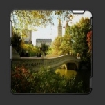 iPad 20and iPhone cases